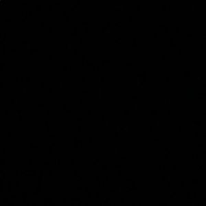 Meet your Posher, Lyannette